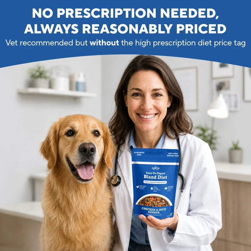 Dave's Bland Diet Chicken & Rice Gently Cooked Dog Food 10 Pack - 9 oz Pouches