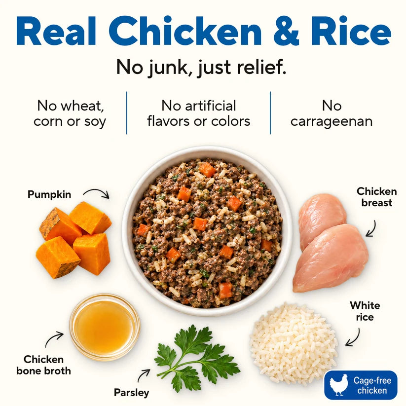 Dave's Bland Diet Chicken & Rice Gently Cooked Dog Food 10 Pack - 9 oz Pouches