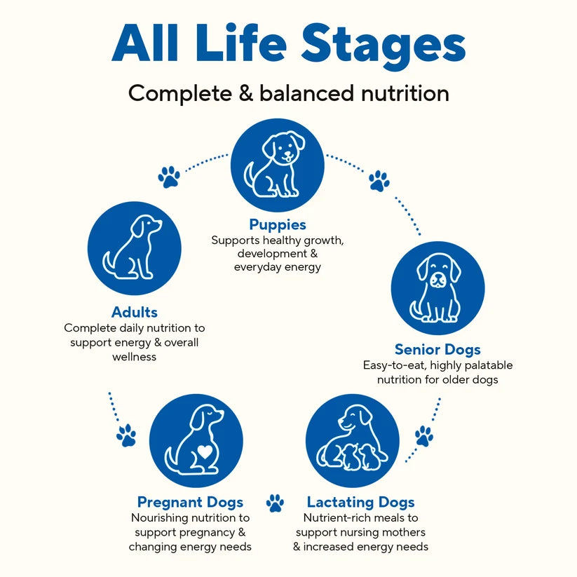 Dave's Bland Diet Duck & Pumpkin Gently Cooked Dog Food 10 Pack - 9 oz Pouches
