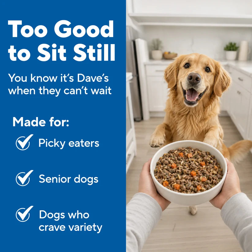 Dave's Bland Diet Duck & Pumpkin Gently Cooked Dog Food 10 Pack - 9 oz Pouches