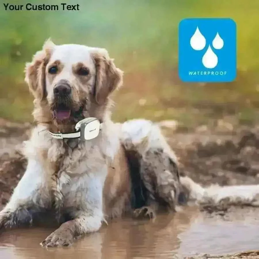 Cats and Dogs GPS Tracker and Smart Pet Finder GPS Collar Attachment