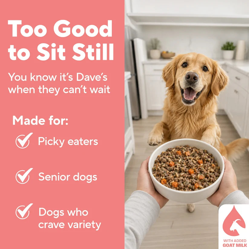 Dave's Homestyle Meal Chicken & Salmon with Brown Rice, Goat Milk Gently Cooked Dog Food 10 Pack - 9 oz Pouches