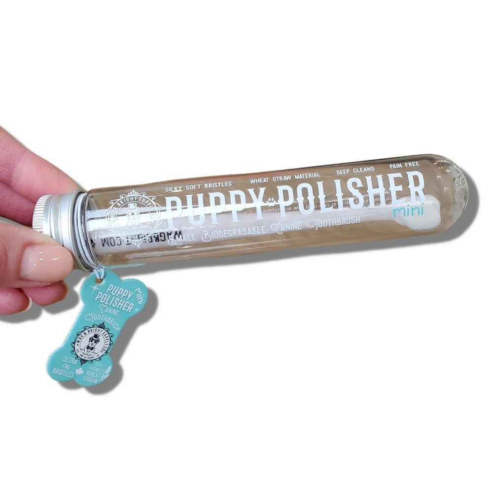 Wag & Bright Puppy Polisher Eco Toothbrush