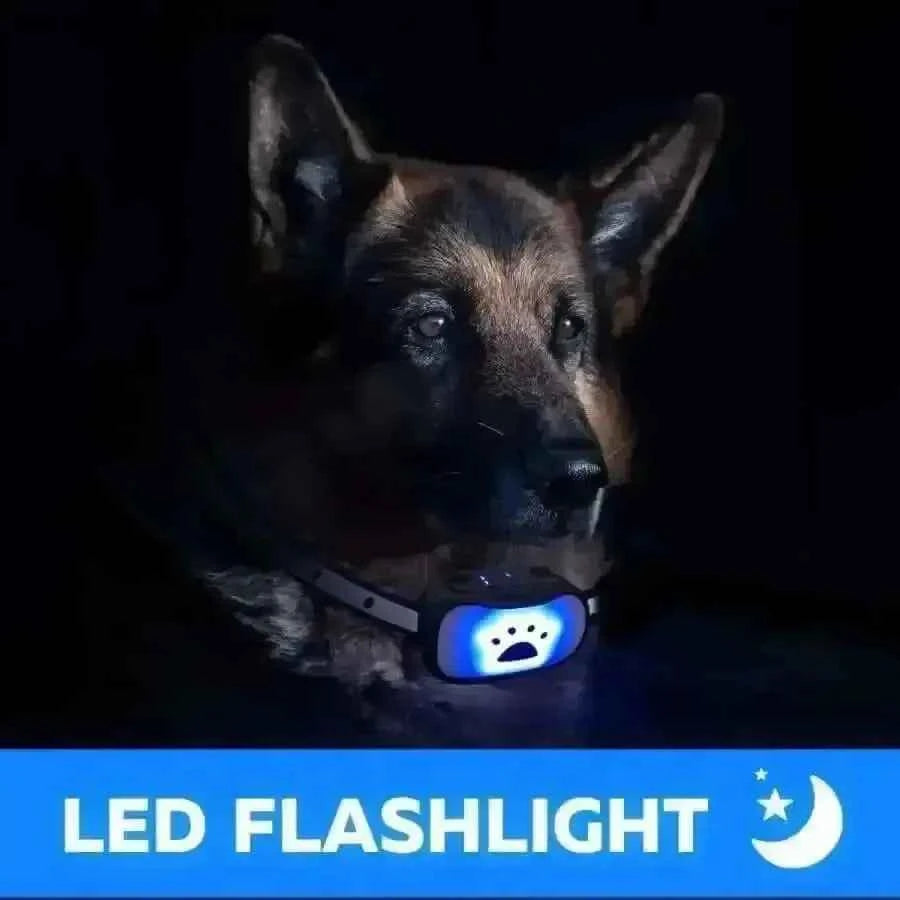 Collar Dog Bark Anti No Barking Shock Training Pet Control Rechargeable Small