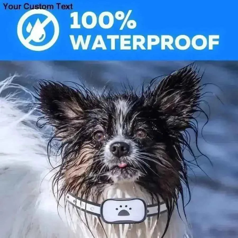 Collar Dog Bark Anti No Barking Shock Training Pet Control Rechargeable Small
