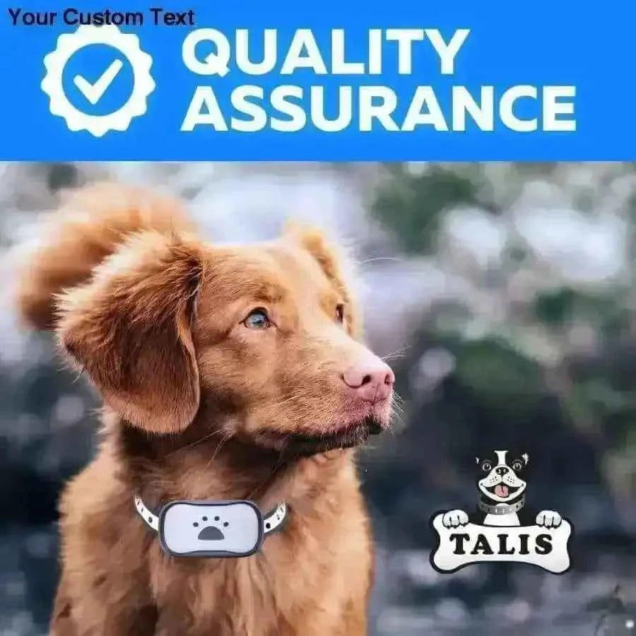 Collar Dog Bark Anti No Barking Shock Training Pet Control Rechargeable Small