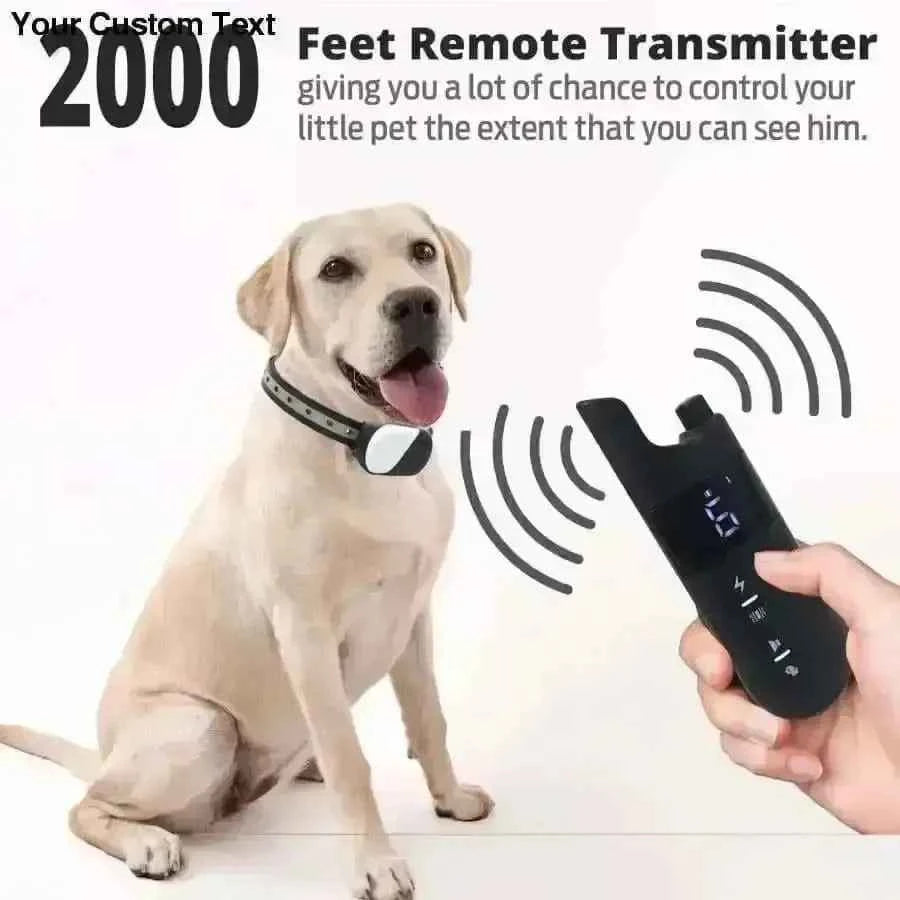Collar Dog Training Shock Remote Waterproof Rechargeable Pet Electric Yard Large Control Small 2000