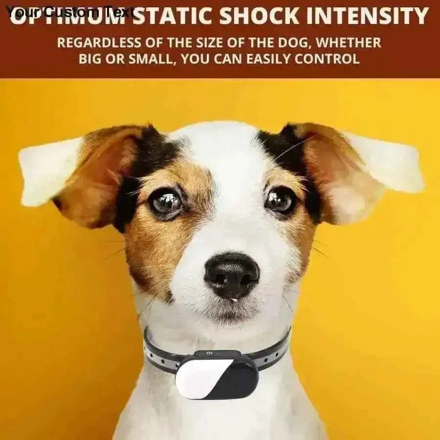 Collar Dog Training Shock Remote Waterproof Rechargeable Pet Electric Yard Large Control Small 2000