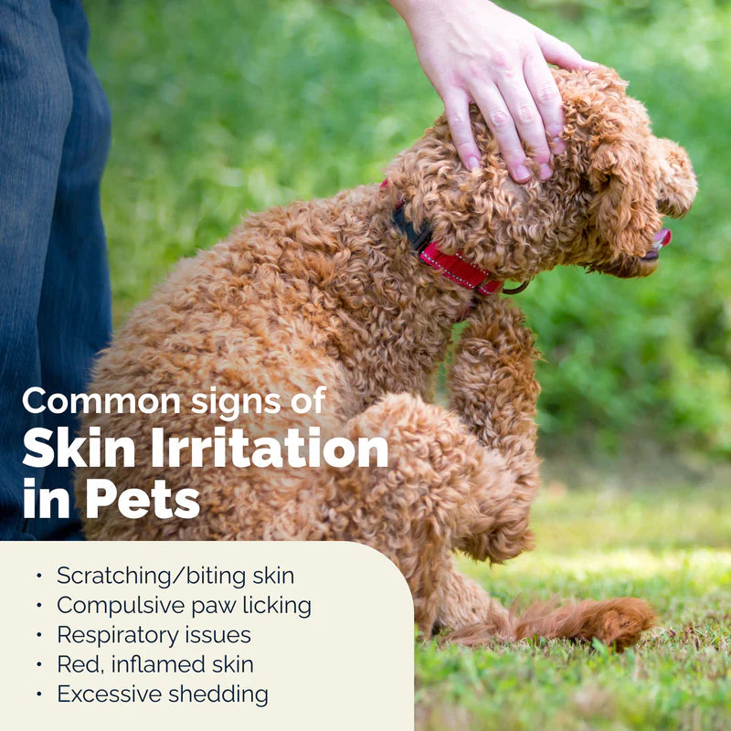 A dog scratching its neck with its hind leg, listing common signs of pet skin irritation.