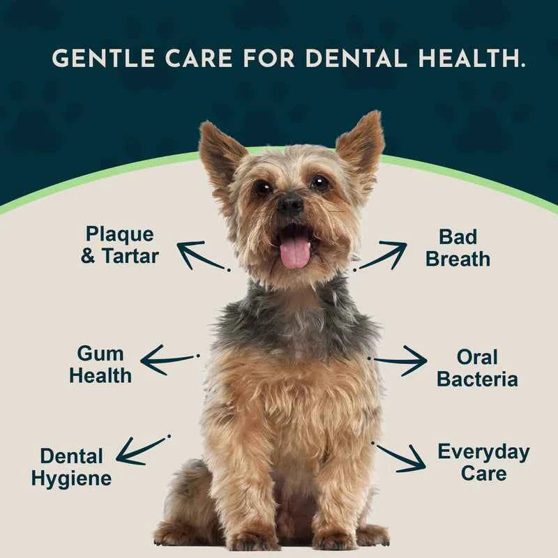 Animal Essentials Dental Support Herbal Soft Chews  Herbal Anti-Plaque Formula  60 Count