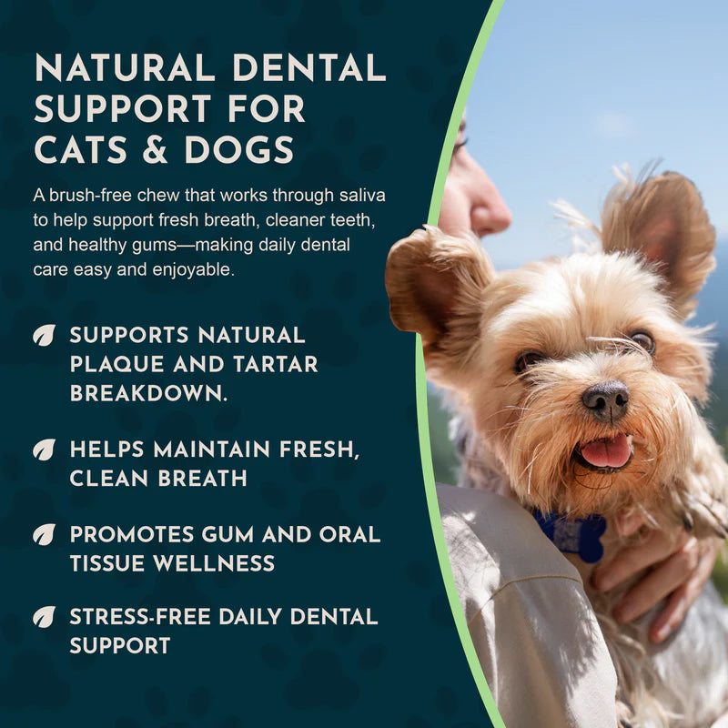 Infographic for Animal Essentials Dental Support Chews featuring a small dog and product benefits.