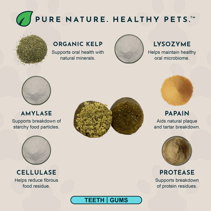 Infographic of dental support chews showing ingredients like kelp, lysozyme, and enzymes.