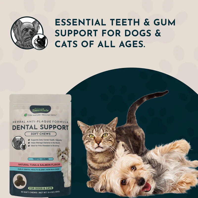 Animal Essentials Dental Support 60 soft chews for dogs and cats with tuna and salmon flavor.