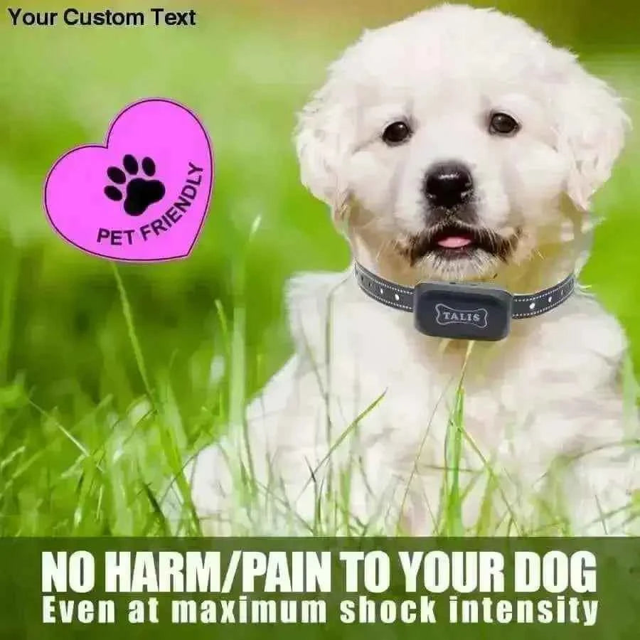 Dog 3 Sided Invisible Fence Wire Electric Pet System Containment Collar Transmitter Waterproof