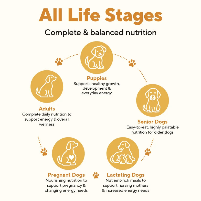 Dave's Homestyle Meal Grain-Free Goat Milk, Chicken Dinner Gently Cooked Dog Food 10 Pack - 9 oz Pouches