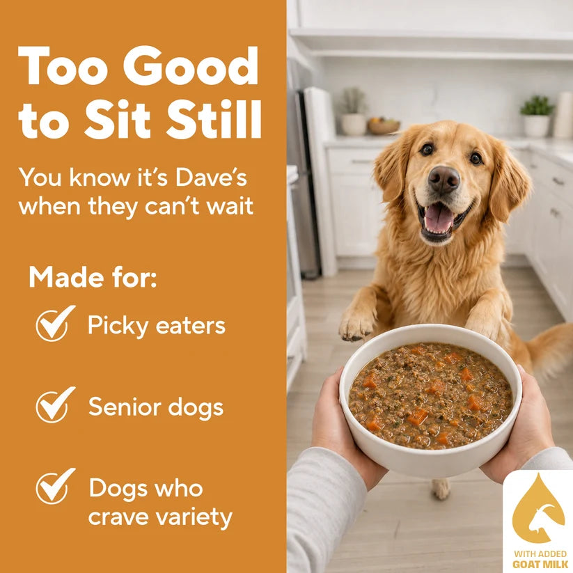 Dave's Homestyle Meal Grain-Free Goat Milk, Chicken Dinner Gently Cooked Dog Food 10 Pack - 9 oz Pouches