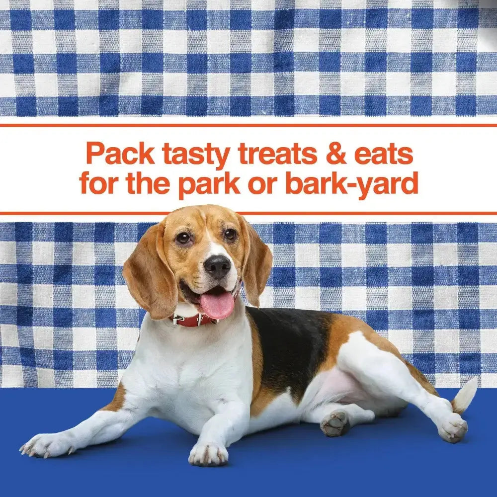 IAMS ProActive Health Adult Lamb Rice Dry MiniChunk Dog Food 30 lb IAMS CPD