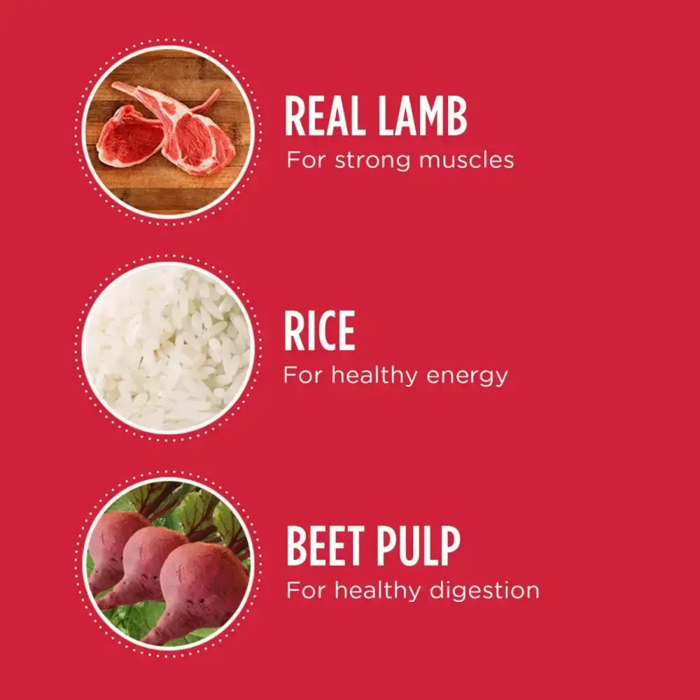 IAMS ProActive Health Adult Lamb Rice Dry MiniChunk Dog Food 30 lb IAMS CPD