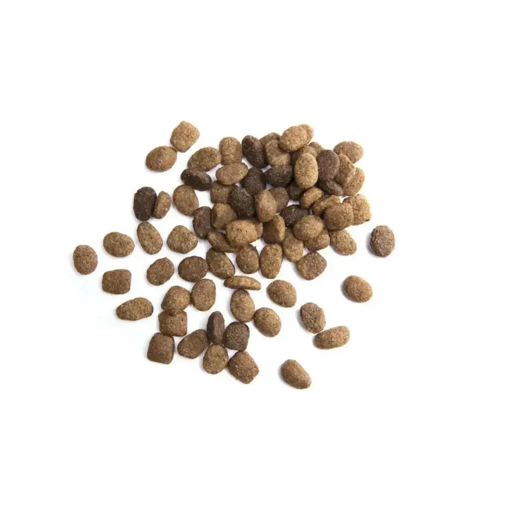 IAMS ProActive Health Adult Lamb Rice Dry MiniChunk Dog Food 30 lb IAMS CPD