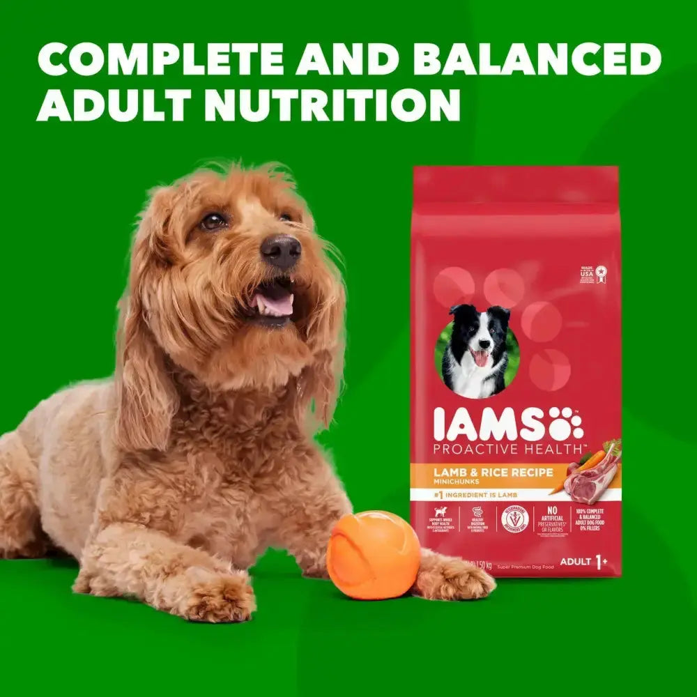 IAMS ProActive Health Adult Lamb Rice Dry MiniChunk Dog Food 30 lb IAMS CPD