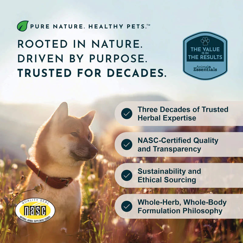Infographic for Animal Essentials joint support with a dog in a field and NASC quality seal.