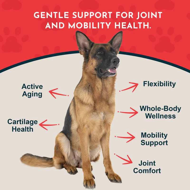 Animal Essentials Joint Support Herbal Soft Chews Herbal Hip  Joint Formula  60 Count