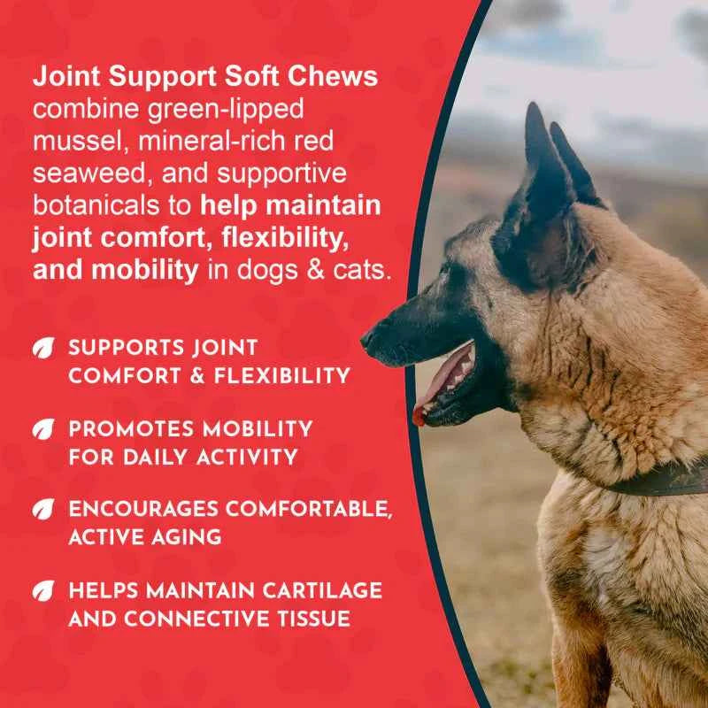 Animal Essentials Joint Support Herbal Soft Chews Herbal Hip  Joint Formula  60 Count