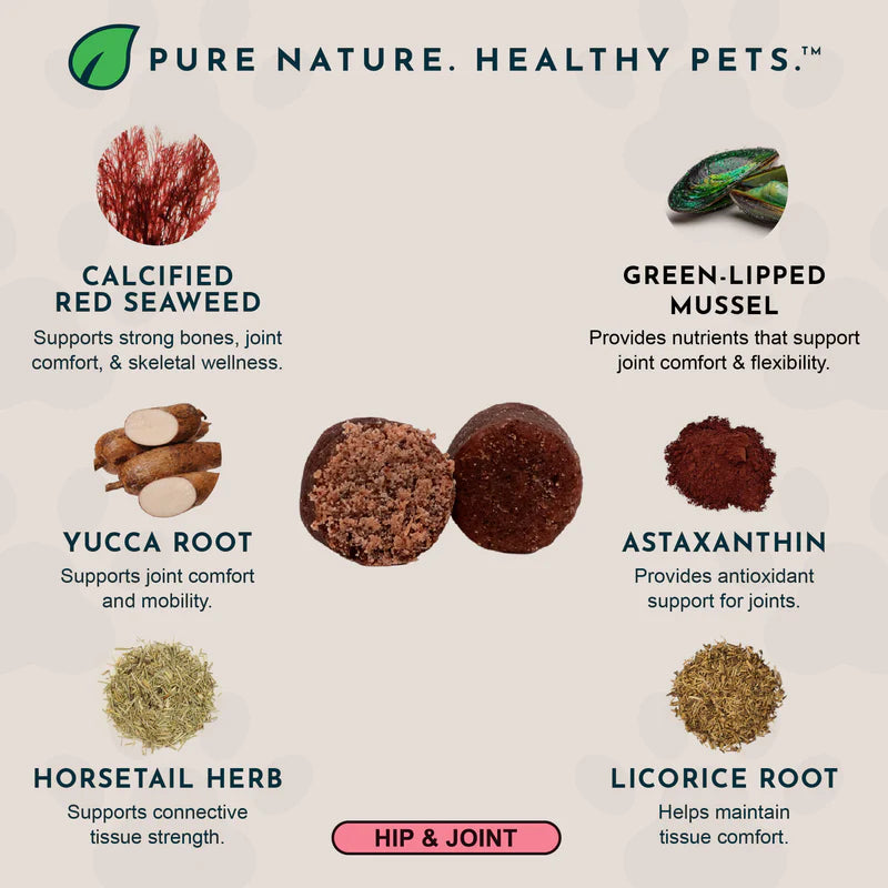 Infographic of joint support ingredients: seaweed, mussel, yucca, astaxanthin, horsetail, licorice.