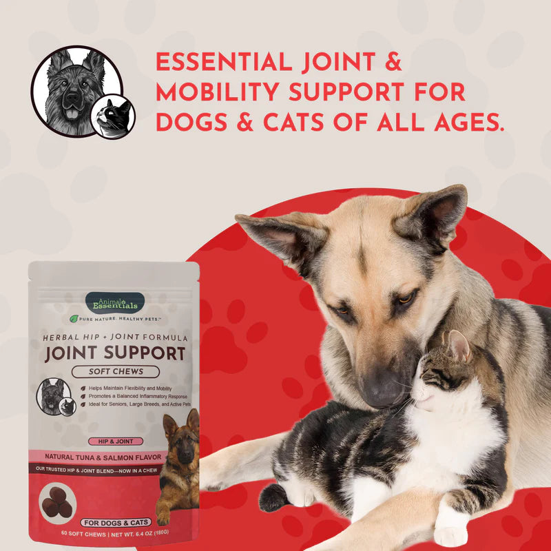 Animal Essentials Joint Support 60 soft chews for dogs and cats in tuna and salmon flavor.