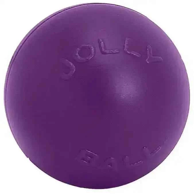 Jolly Pet Push-n-Play Plastic Dog Toy 10 in