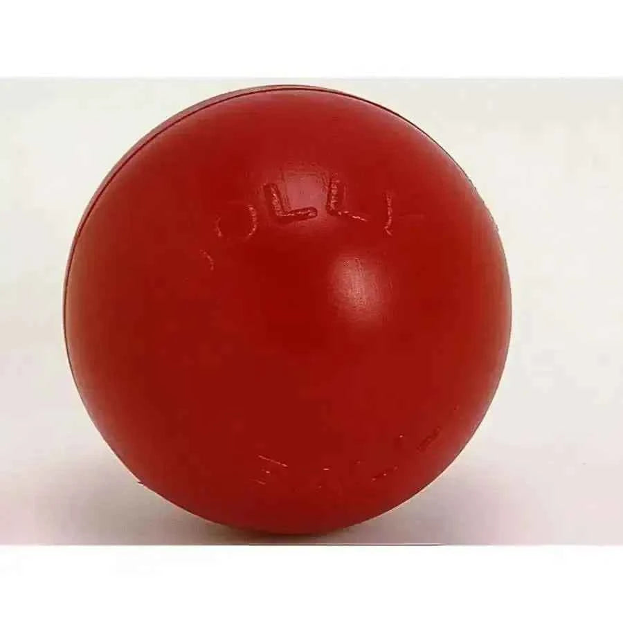 Jolly Pet Push-n-Play Plastic Dog Toy 10 in