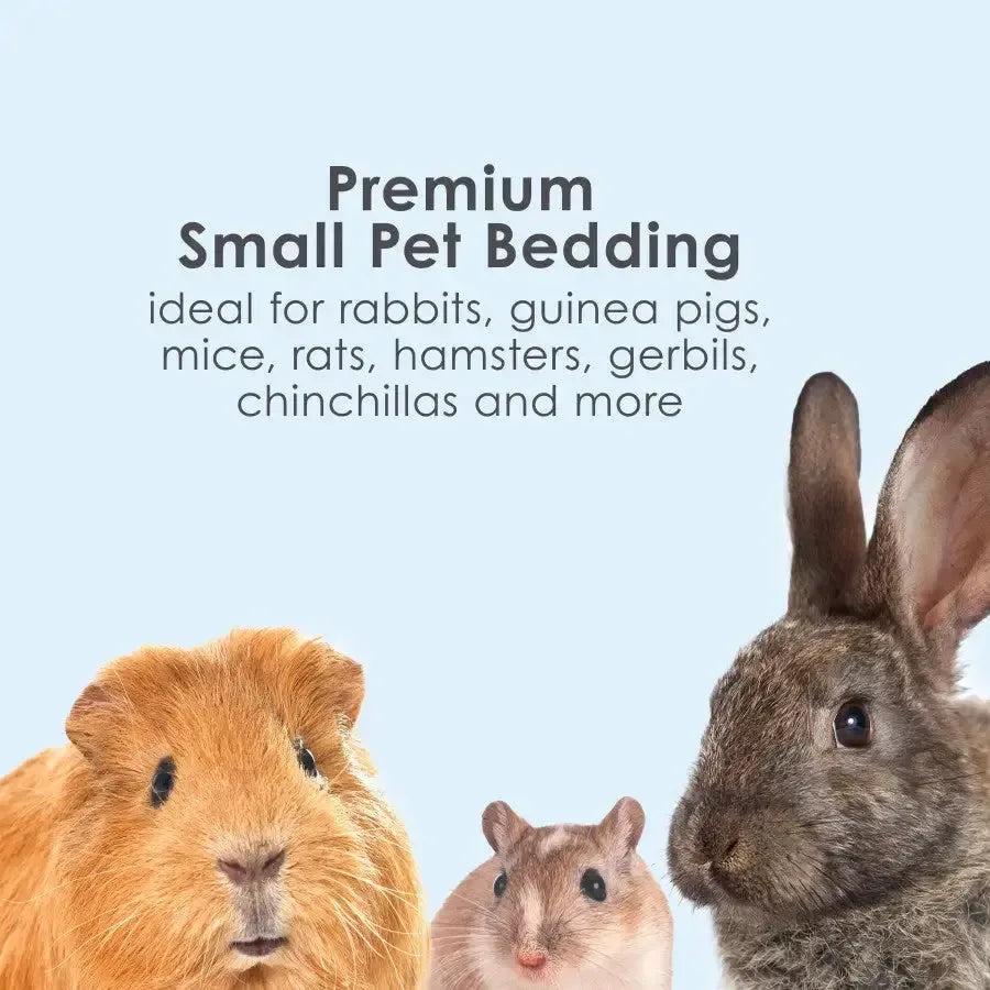 Kaytee® Clean & Cozy Small Pet Bedding White Color Kaytee®