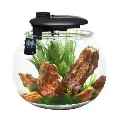 Penn-Plax AquaSphere Aquarium for Freshwater and Saltwater Filtration System and LED Light Display