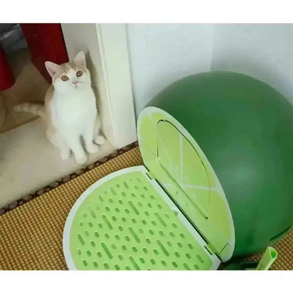 Pet Large Lime Grapefruit Fully Closed Litter Box Cat Toilet Training Kit
