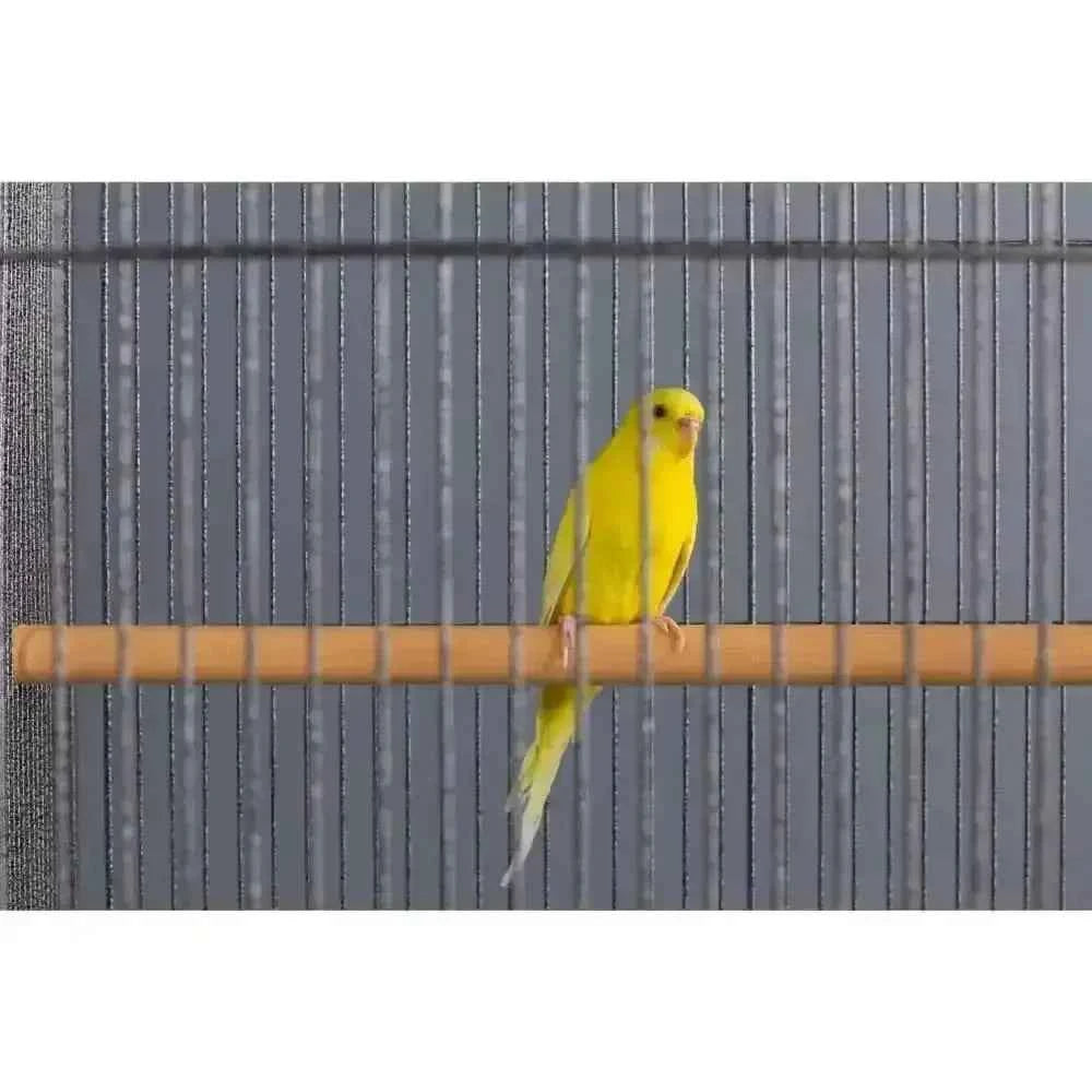 Prevue Pet Products Small Bird Wrought Iron Flight Bird Cage F041