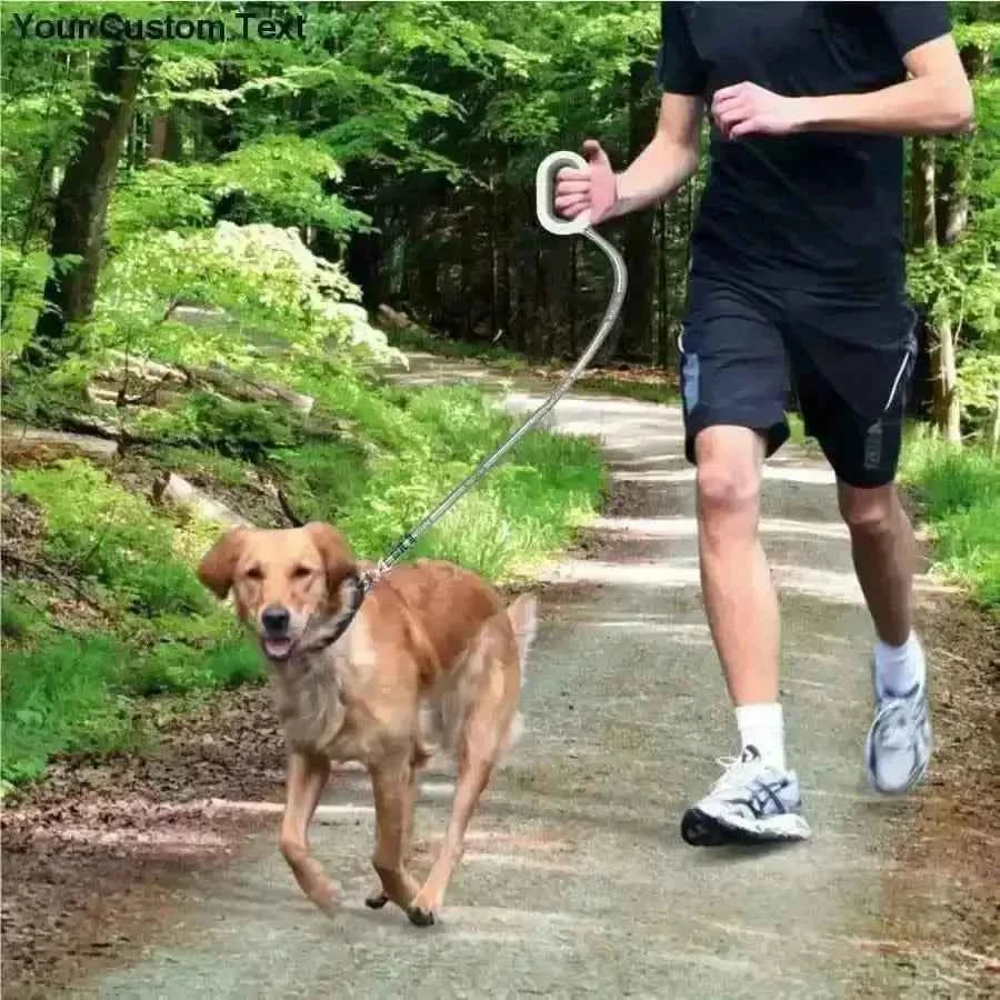 Smart Dog Leash, Smart Dog Leash With Multi-color LED Lights, Usb Charger Leash, Smart Leash For Dog