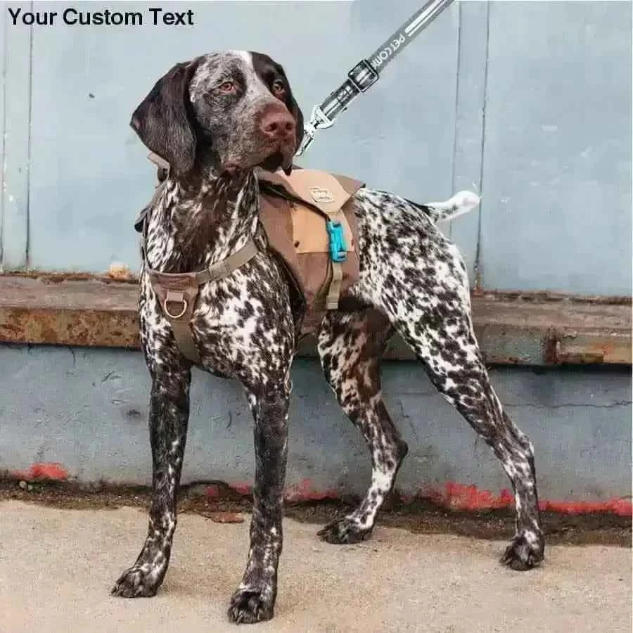 Smart Dog Leash, Smart Dog Leash With Multi-color LED Lights, Usb Charger Leash, Smart Leash For Dog