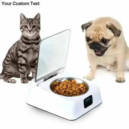 TALIS US STAINLESS STEEL PORTABLE PET DOG, CAT OUTDOOR TRAVEL WATER BOWL DOG FEEDER SLOW EATING PET BOWL ECO