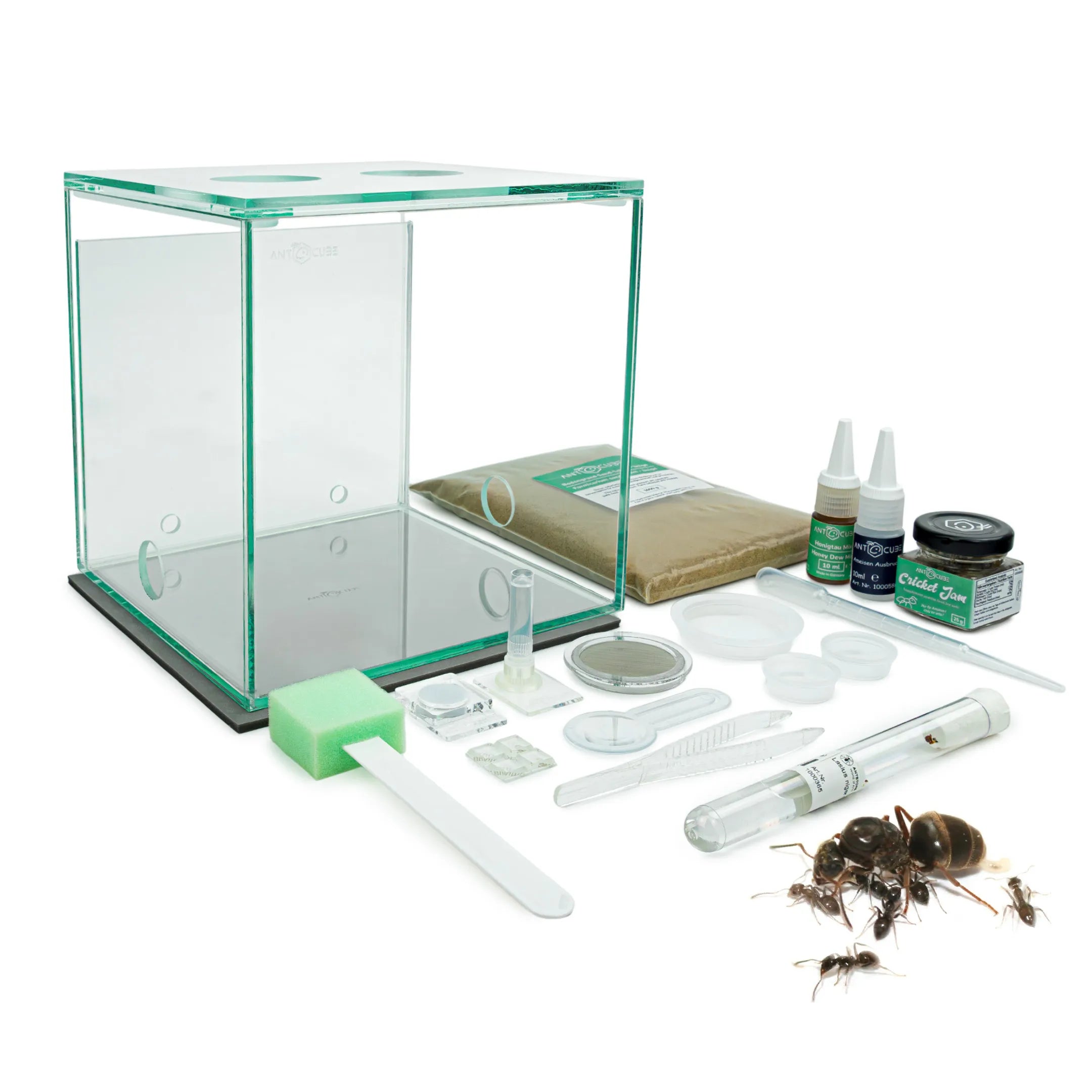 ANTCUBE Starter Kit for Lasius niger Ants