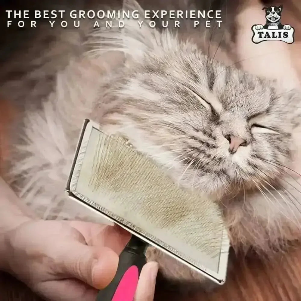 A fluffy gray cat with closed eyes enjoys being brushed by a person using the Talis Us Pet Grooming Brush for Shedding with Comfortable Grip. Text above reads: The Best Grooming Experience for You and Your Pet, with the Talis Us logo in the top right corner.