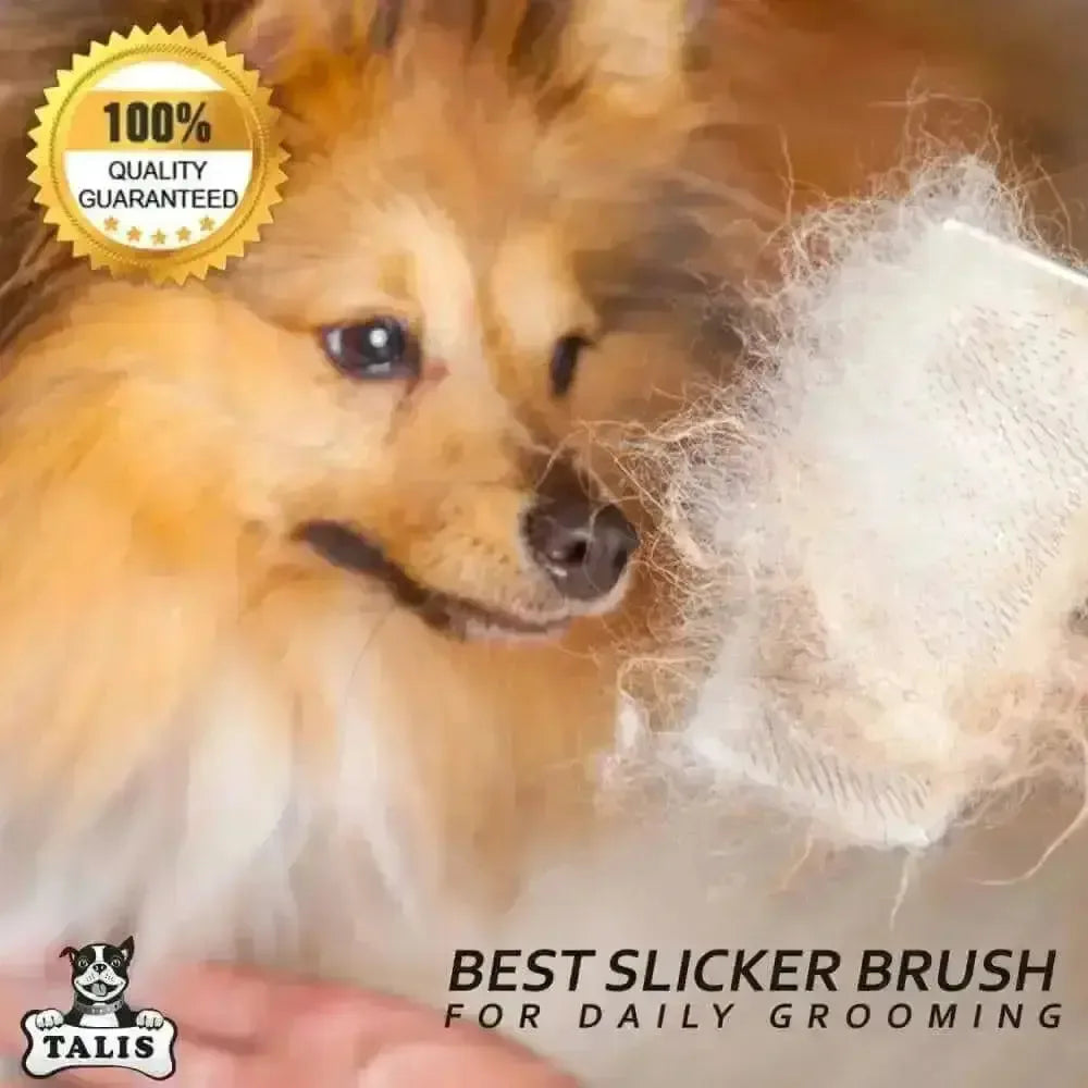A fluffy dog eyes a Talis Us Pet Grooming Brush for Shedding with Comfortable Grip, filled with loose fur. A 100% Quality Guaranteed badge appears in the corner, and the Talis Us logo is at the bottom with text: “Best Self-Cleaning Fur Tool.”.