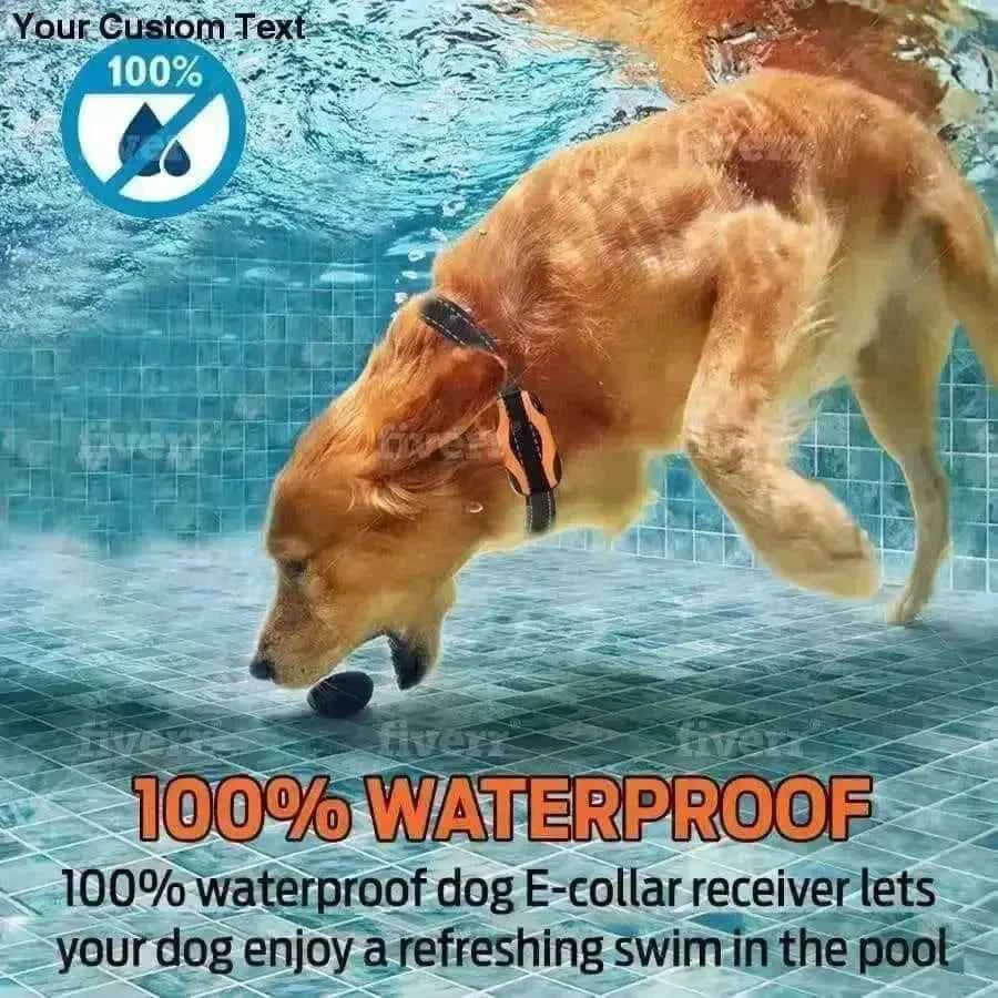 Talis Us Rechargeable Bark Collar for Dogs - Dual Pack