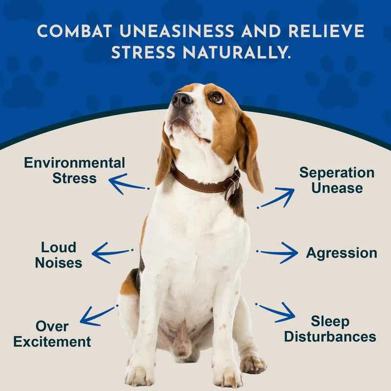 Animal Essentials Tranquil Times Herbal Soft Chews Herbal Calming Formula  60 Count