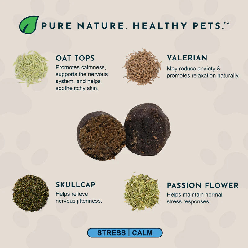 Infographic of Tranquil Times soft chews showing oat tops, valerian, skullcap, and passion flower.