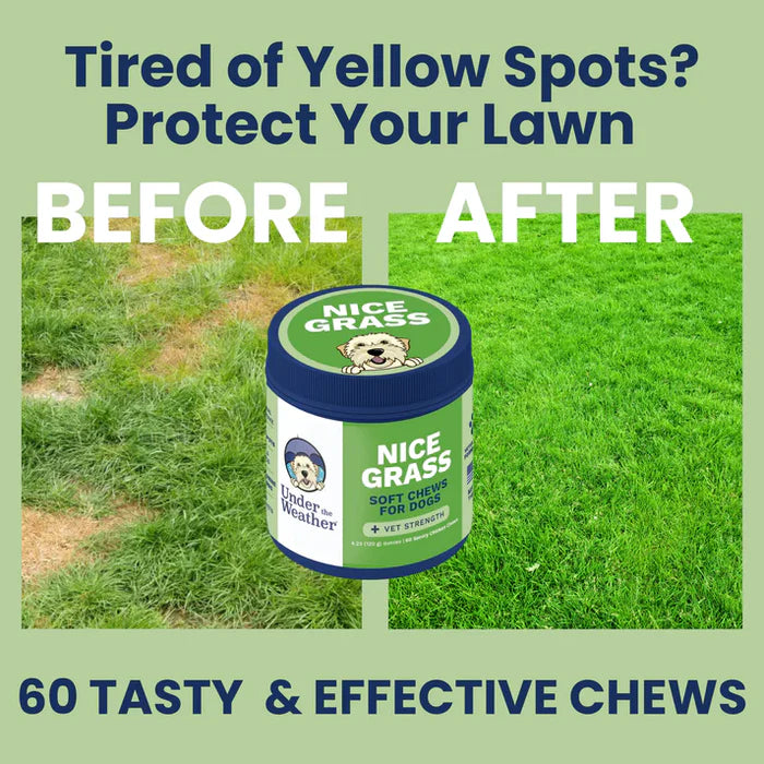 Container of natural soft chews for dogs shown with a vibrant green lawn restored from yellow spots after use.
