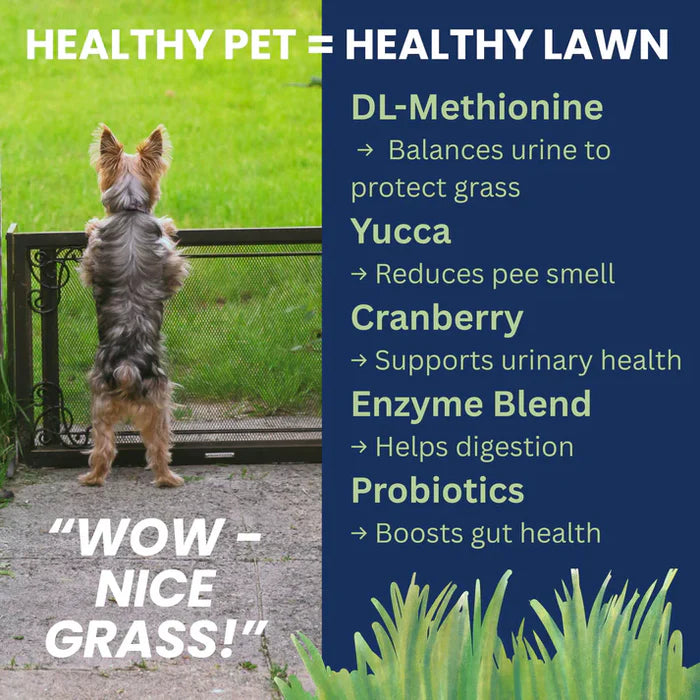 Small dog standing on its hind legs beside text listing natural ingredients that support pet digestive and urinary health.