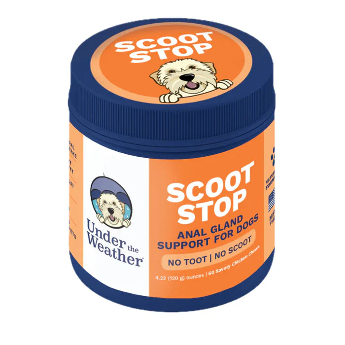 Container of natural soft chews designed to provide gentle anal gland support for dogs with no mess or discomfort.