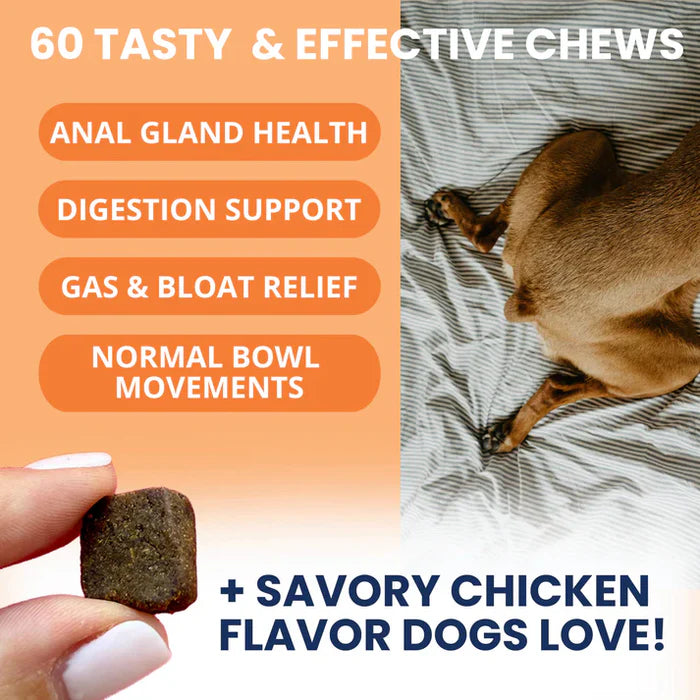 Hand holding a savory soft chew with dog lying on bed and text about digestion, anal gland, and digestive relief benefits