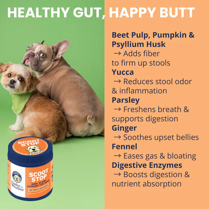 Two dogs sitting together with text listing natural ingredients supporting digestive and anal gland health in pets alongside a container of soft chews.