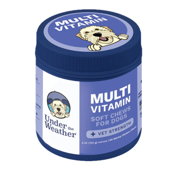 Container of vet-strength soft chews supporting dogs with natural multivitamin formula for overall health.